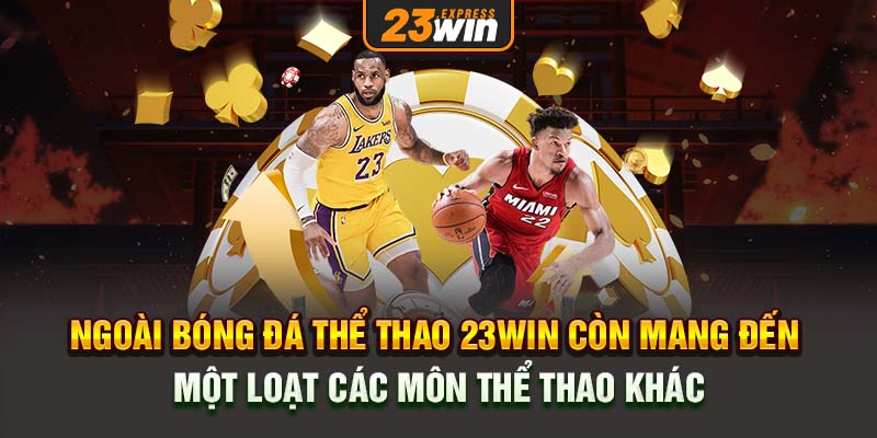 Ngoài bóng đá thể thao 23Win còn mang đến một loạt các môn thể thao khác